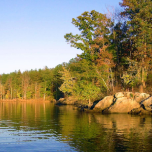 Falls Lake Hiking